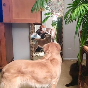 Meet your Posher, Christine